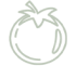 vector