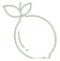 vector