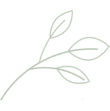 vector