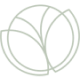 vector